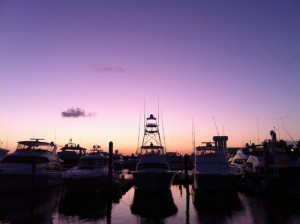 fort lauderdale boat house